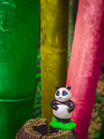 Takenoko